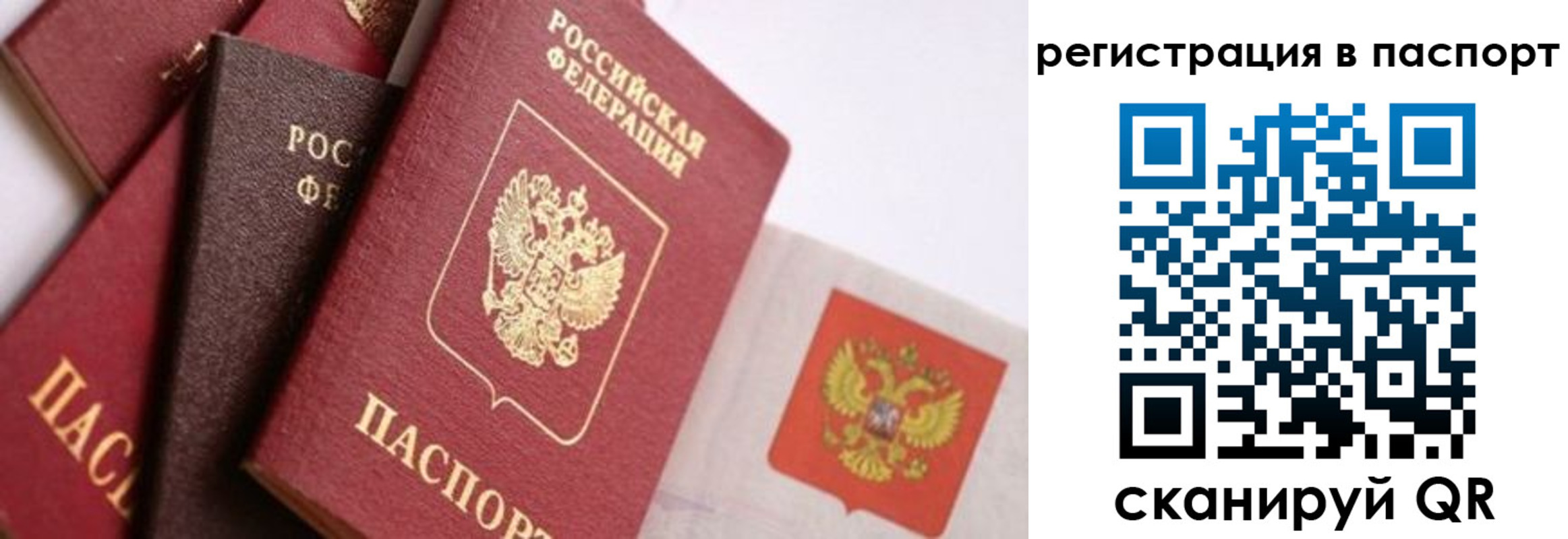 прописка в квартире в Ртищево
